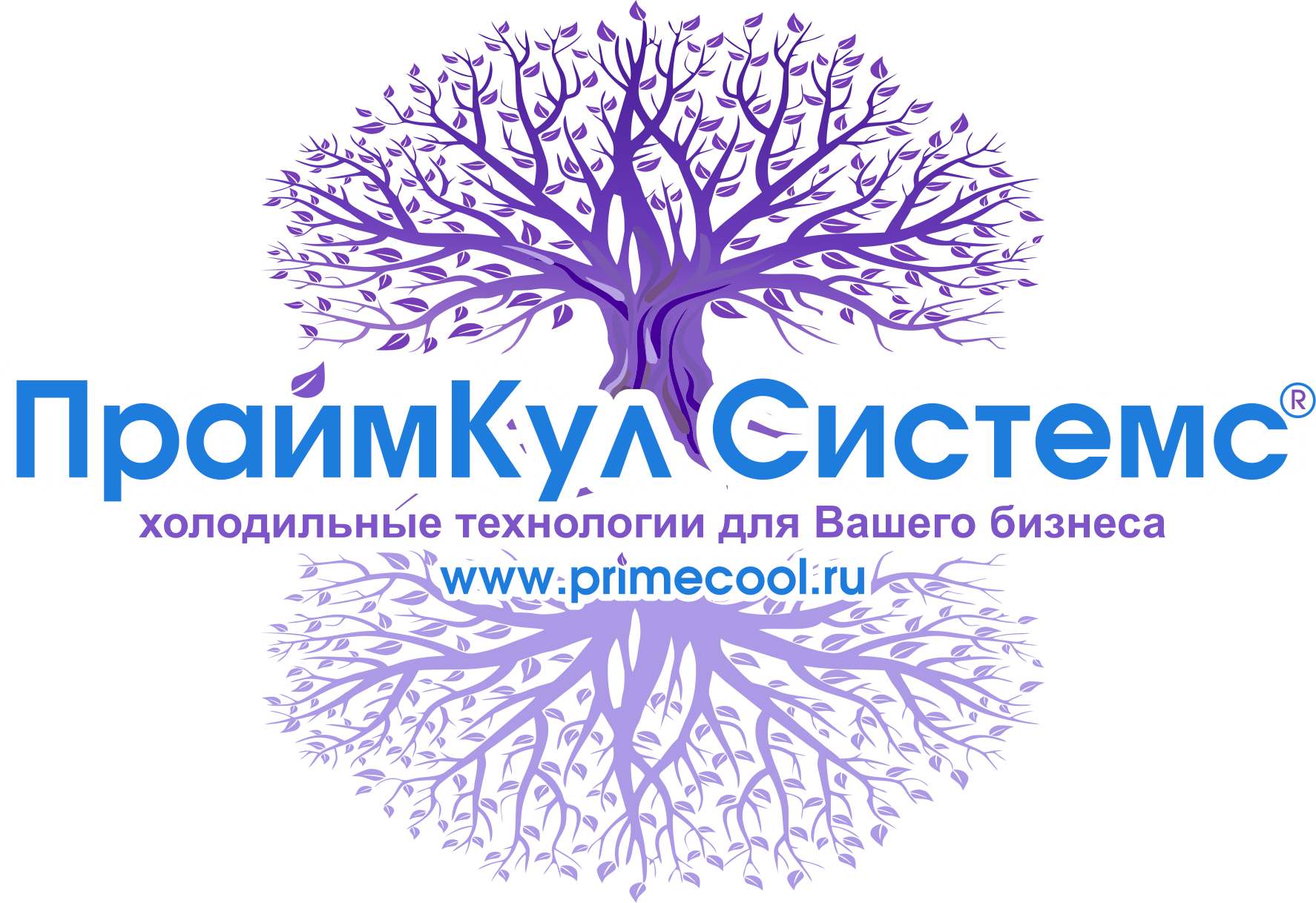 ООО «ПраймКул Системс»